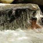 Volunteering at Goloka Eco Yoga Aldea and enlarge your knowledge about sustainable activities.