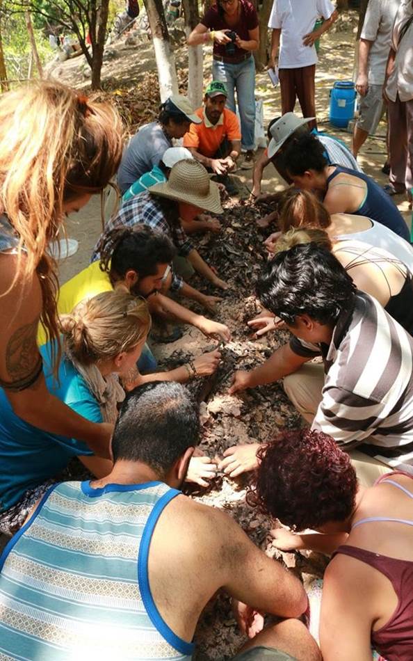 Volunteering at Gambhira Eco Yoga Aldea and enlarge your knowledge about sustainable activities like permaculture, forestry, bio construction, ecotourism, vegetarian / vegan cuisine, art, yoga retreats and more
