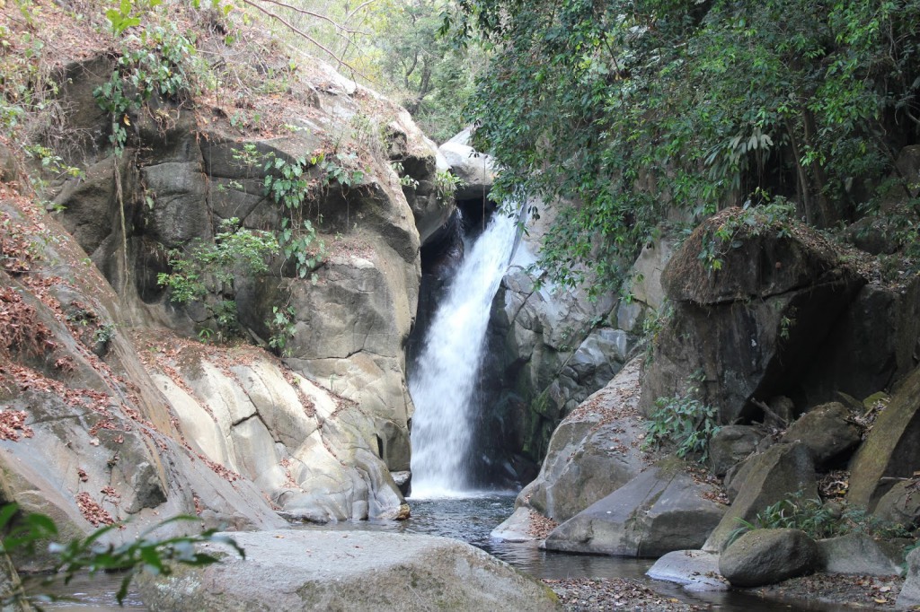 Volunteering at Goloka Eco Yoga Aldea and enlarge your knowledge about sustainable activities.