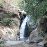 Volunteering at Goloka Eco Yoga Aldea and enlarge your knowledge about sustainable activities.