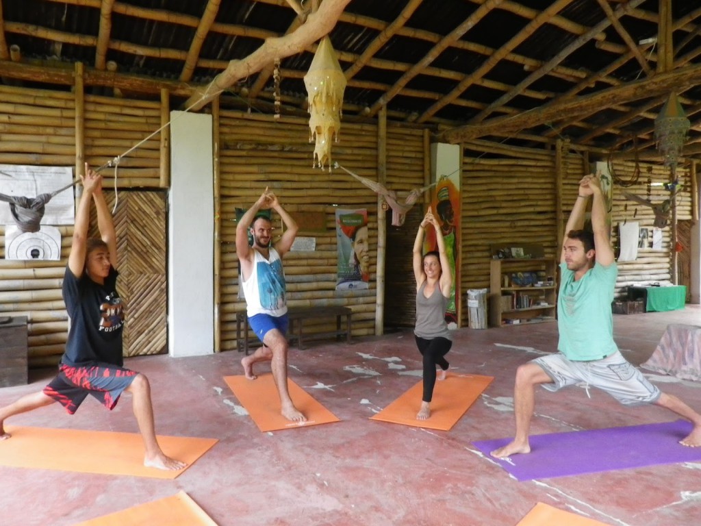 Volunteering at Goloka Eco Yoga Aldea and enlarge your knowledge about sustainable activities.