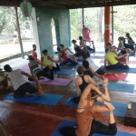 Volunteering at Gambhira Eco Yoga Aldea and enlarge your knowledge about sustainable activities like permaculture, forestry, bio construction, ecotourism, vegetarian / vegan cuisine, art, yoga retreats and more