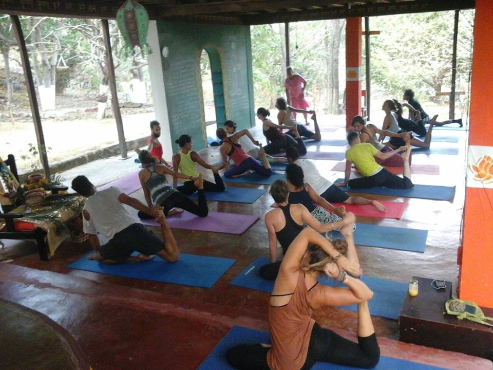 Volunteering at Gambhira Eco Yoga Aldea and enlarge your knowledge about sustainable activities like permaculture, forestry, bio construction, ecotourism, vegetarian / vegan cuisine, art, yoga retreats and more