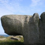 Stay in France, Bretagne: We search help with Gardening renovations, painting walls,