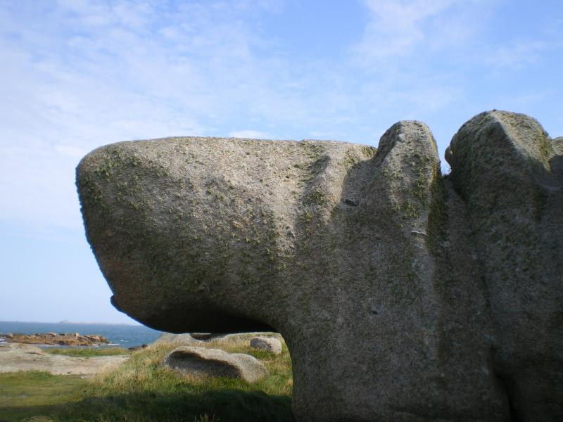 Stay in France, Bretagne: We search help with Gardening renovations, painting walls,