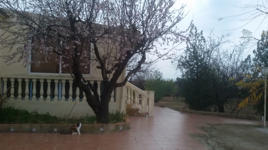 Big country house about 150 m2 and a wooden cabane about 35 m2 all equiped with saun, jacuzzi,pool, paellero and gamezone