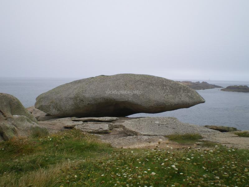 Stay in France, Bretagne: We search help with Gardening renovations, painting walls,