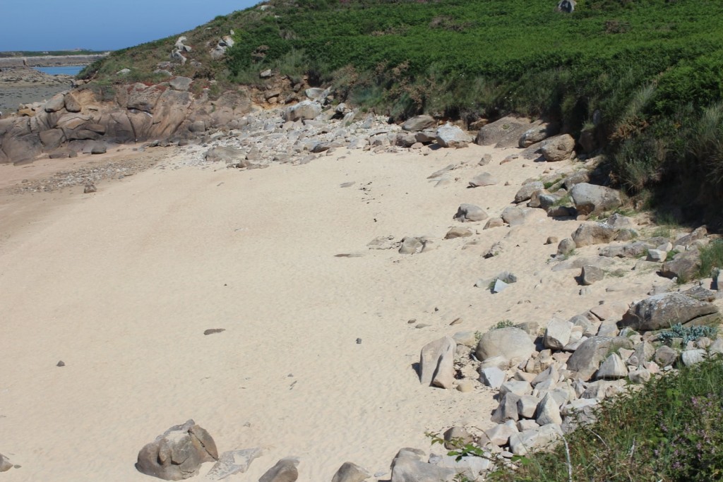 Stay in France, Bretagne: We search help with Gardening renovations, painting walls,