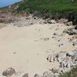 Stay in France, Bretagne: We search help with Gardening renovations, painting walls,