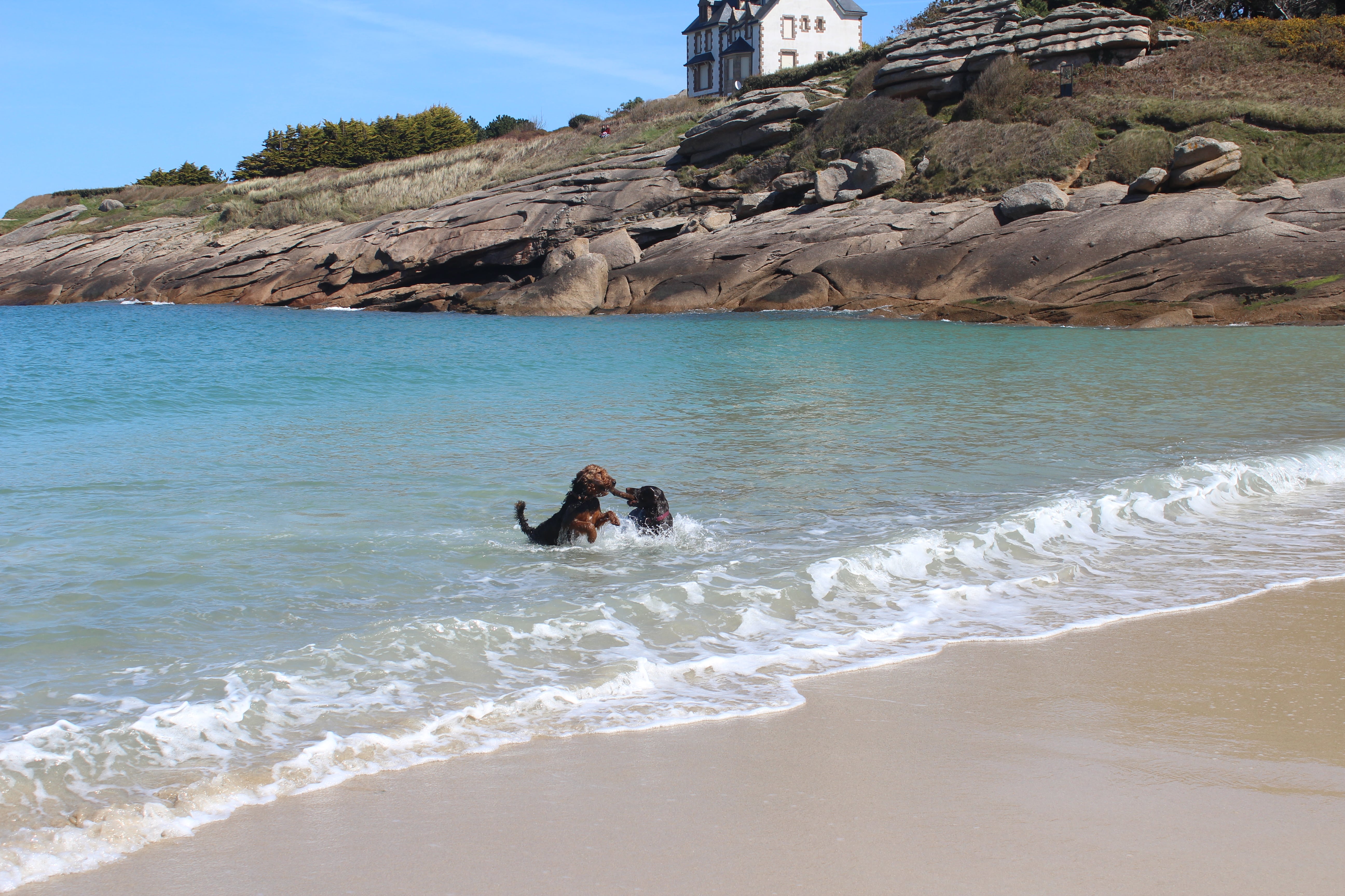 Stay in France, Bretagne: We search help with Gardening renovations, painting walls