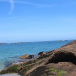 Stay in France, Bretagne: We search help with Gardening renovations, painting walls,