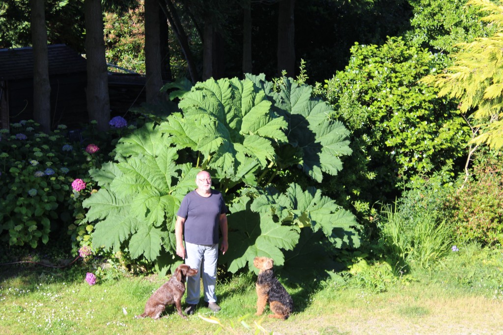 Stay in France, Bretagne: We search help with Gardening renovations, painting walls