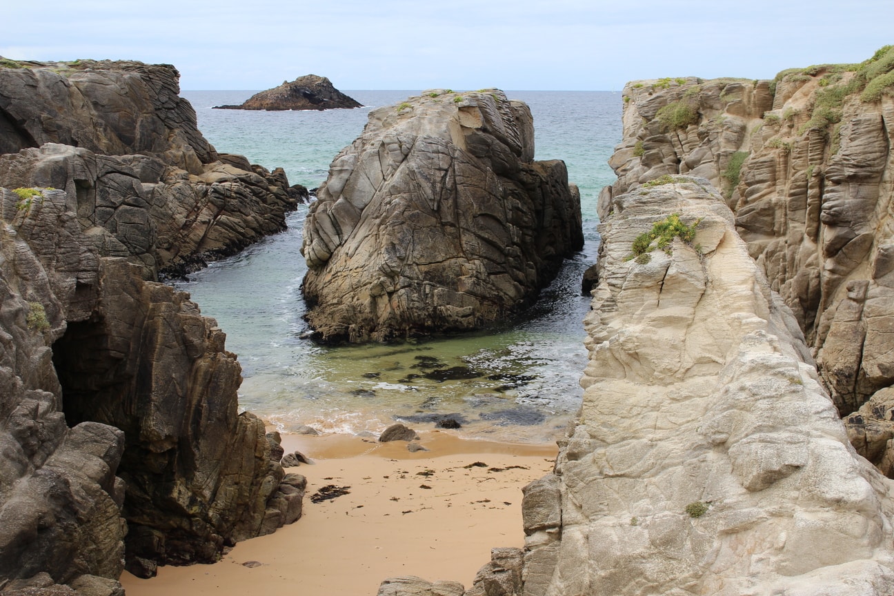 Stay in France, Bretagne: We search help with Gardening renovations, painting walls,