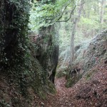 Stay in France, Bretagne: We search help with Gardening renovations, painting walls,