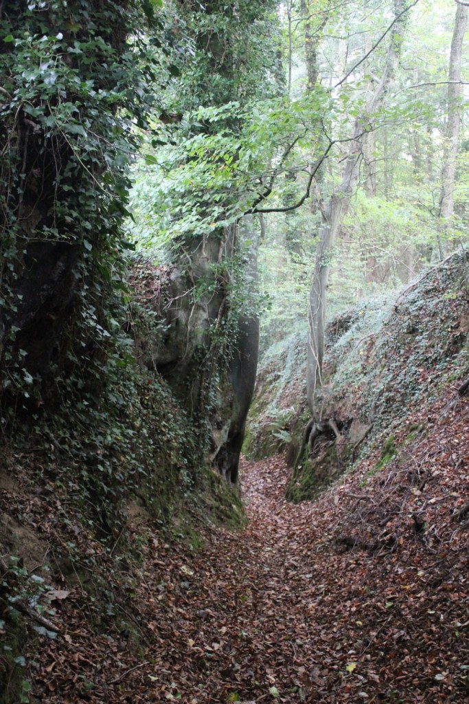 Stay in France, Bretagne: We search help with Gardening renovations, painting walls,