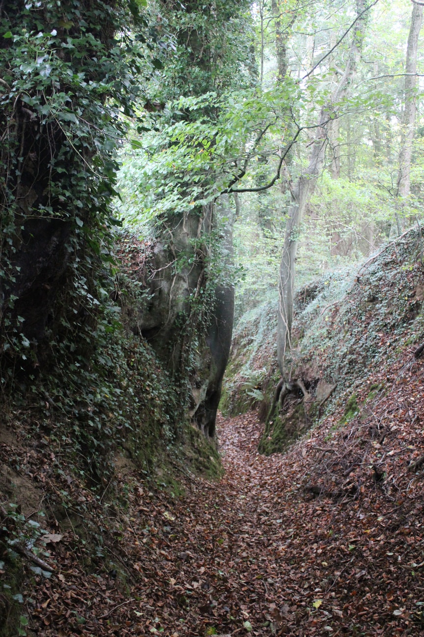 Stay in France, Bretagne: We search help with Gardening renovations, painting walls,