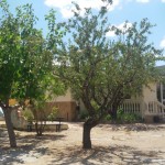 Big country house about 150 m2 and a wooden cabane about 35 m2 all equiped with saun, jacuzzi,pool, paellero and gamezone