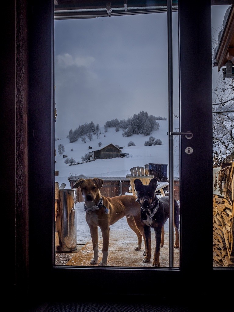 Texstilkuecke AlpS Lodge