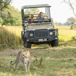 Volunteer across Africa
