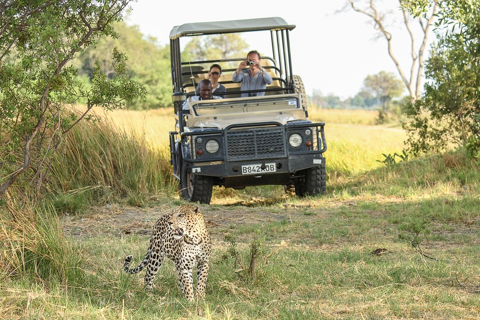 Volunteer across Africa