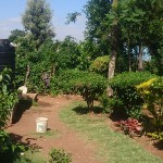 Help with simple photography