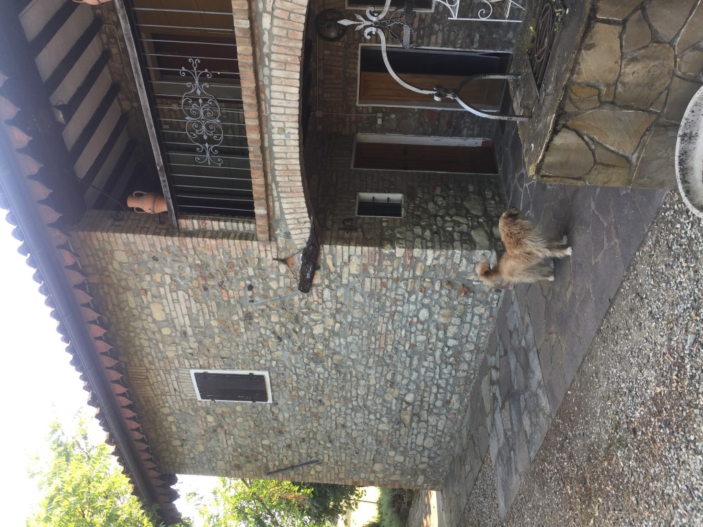 Help us with our vegetable garden and learn italian language and a little bit of cooking!!!
