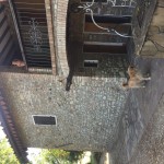 Help us with our vegetable garden and learn italian language and a little bit of cooking!!!