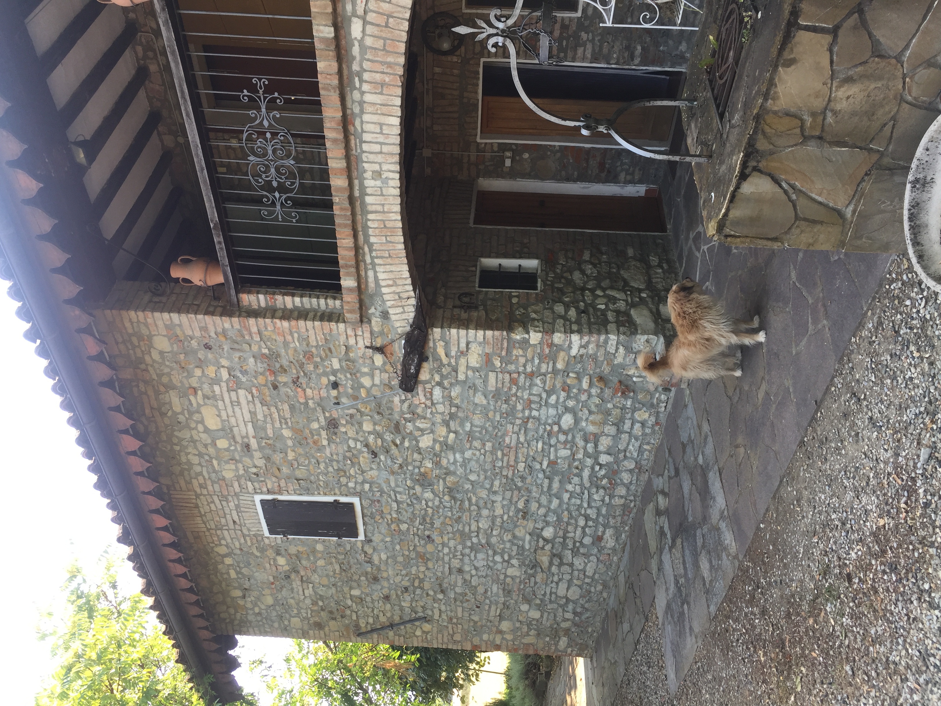Help us with our vegetable garden and learn italian language and a little bit of cooking!!!