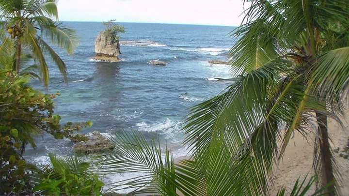 Reception in the caribbean