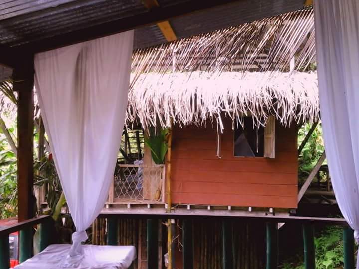 Reception in the caribbean