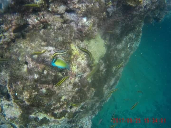 Reception in the caribbean