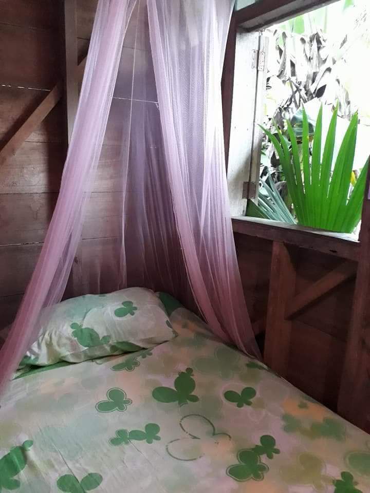 Reception in the caribbean